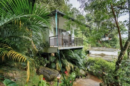 budget hotel in kunchithanny, munnar - wild stories munnar by bestinn leisure