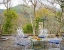 budget hotel in bhediyana, mussoorie - elivaas zephyr