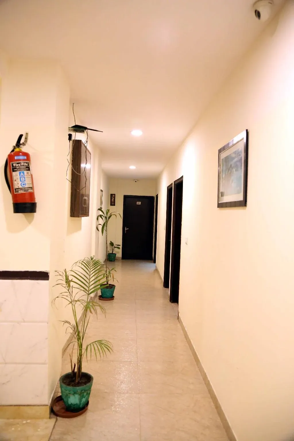 top hotels in hotel green view palace noida