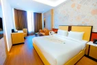 good hotels in pride premier greater noida noida