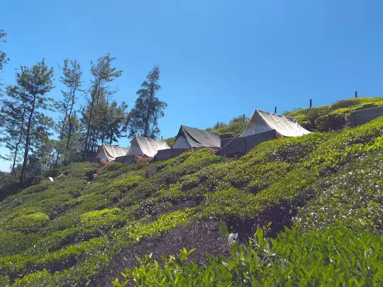 hotel near ooty railway station - janardhan campsites ooty