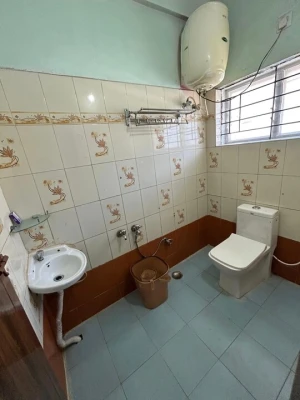 hollywood hills road, ooty homestay in forest - majestry cottage