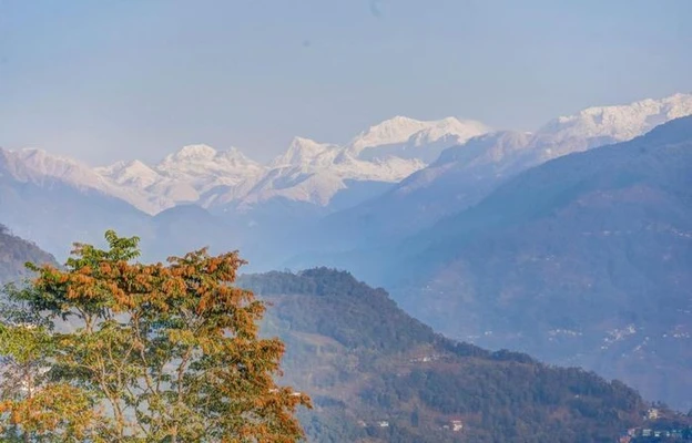 holiday resort in yangtey, pelling - summit tashi ghang resort, pelling