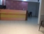 24 hours check in hotels in hotel yash residency pune