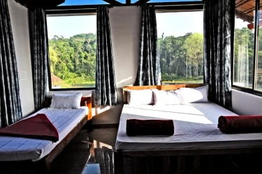 mudigere, sakleshpur homestay in forest - sirimane homestay