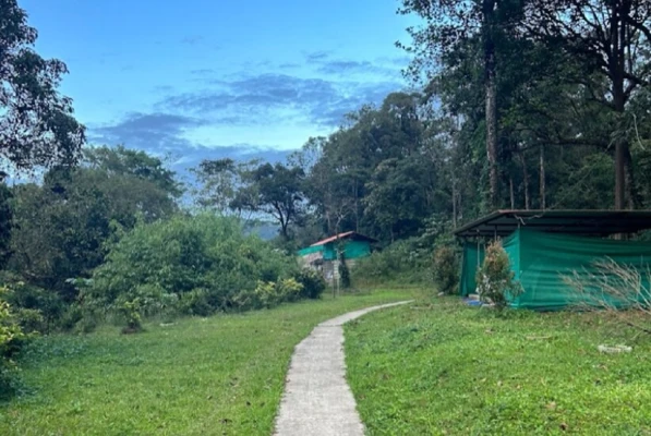 resort in hadlahalli, sakleshpur for family - tusker valley resort