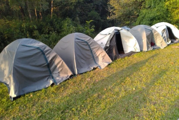 low price resort in hadlahalli, sakleshpur - tusker valley resort