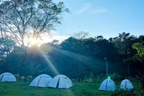 low price resort in hadlahalli, sakleshpur - tusker valley resort