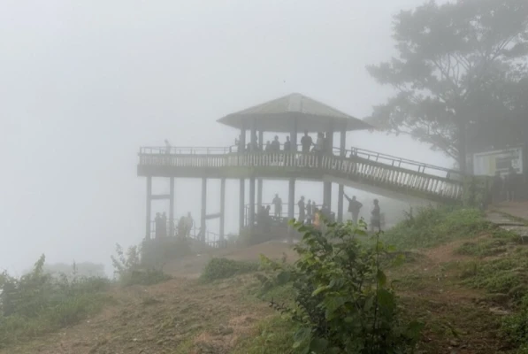 best resort in hadlahalli, sakleshpur with activities - tusker valley resort