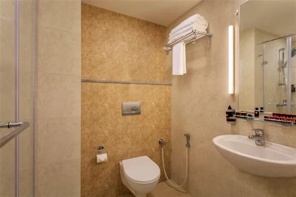 budget hotels in ginger sanand sanand
