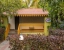budget hotel in hiranvel, sasan gir - daksh resort and amusement park sasan gir
