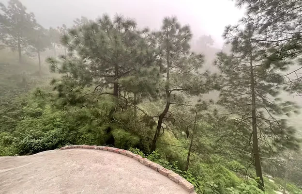 totu, shimla Homestay in forest - the paal shimla