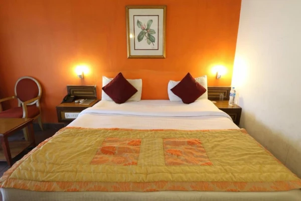 hotel with bar in haveli, silvassa - vits kamats  silvassa