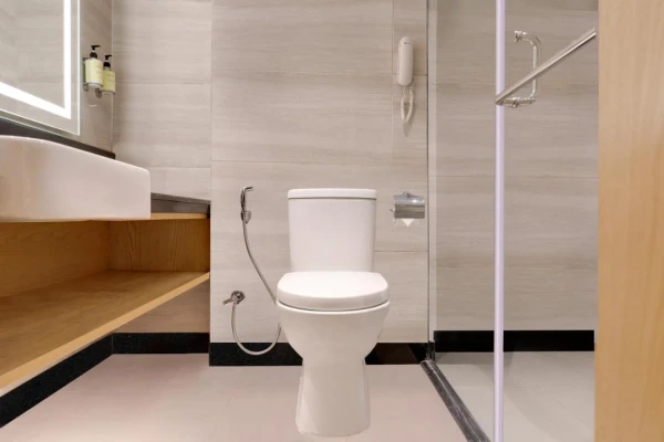 hotel near sonamarg railway station - lemon tree hotel sonmarg