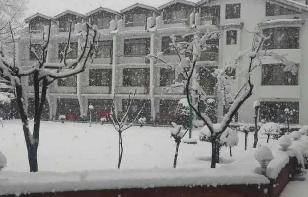 business hotels in hotel paradise srinagar