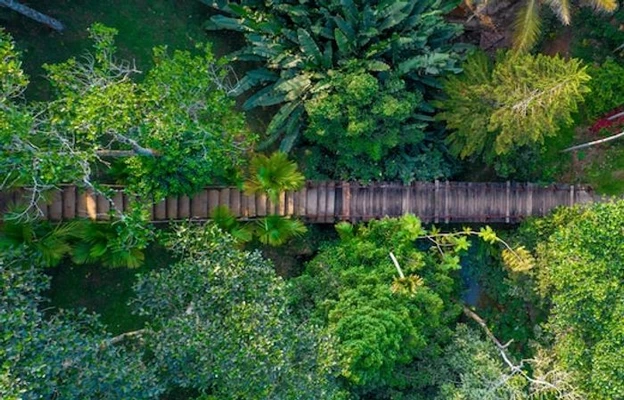 spa Resort in viswanathapuram, thekkady - amritara shalimar spice garden