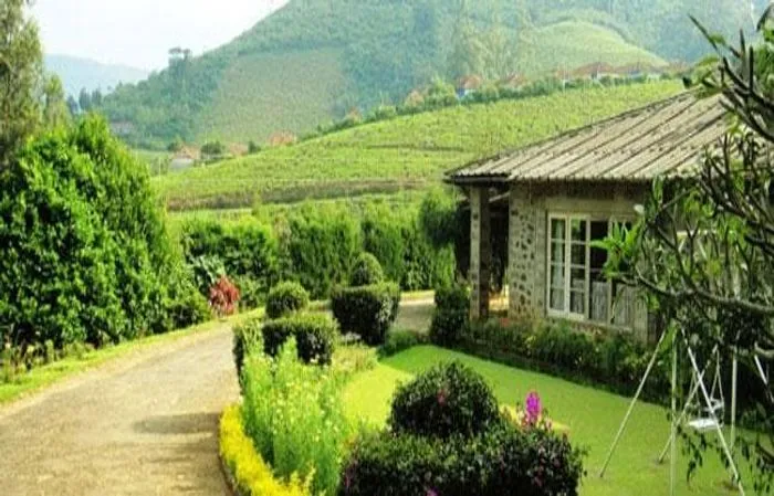 luxury Resort in manalar division, theni - meghamalai cloud mountain