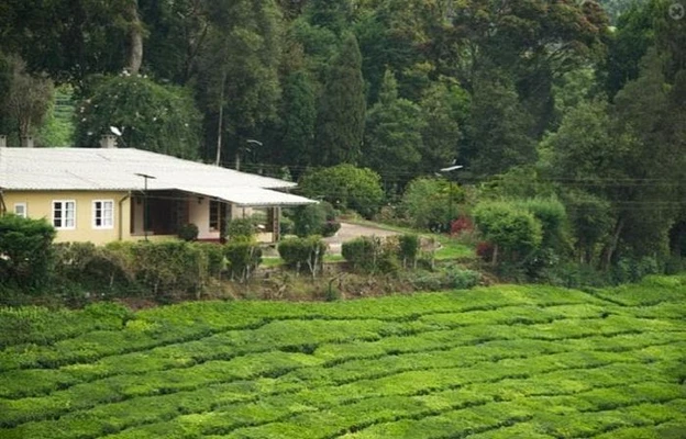 manalar division, theni resort booking - meghamalai cloud mountain