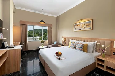 hotel near udaipur airport - ecko premier vibrant