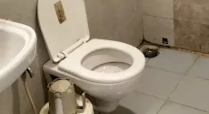 hotel in labbipet, vijayawada for couples - sri subhamastu grand