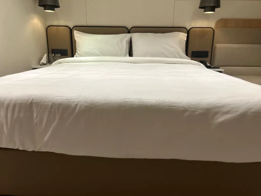 hotel with free parking in sheela nagar, visakhapatnam - 7 apple hotel vizag