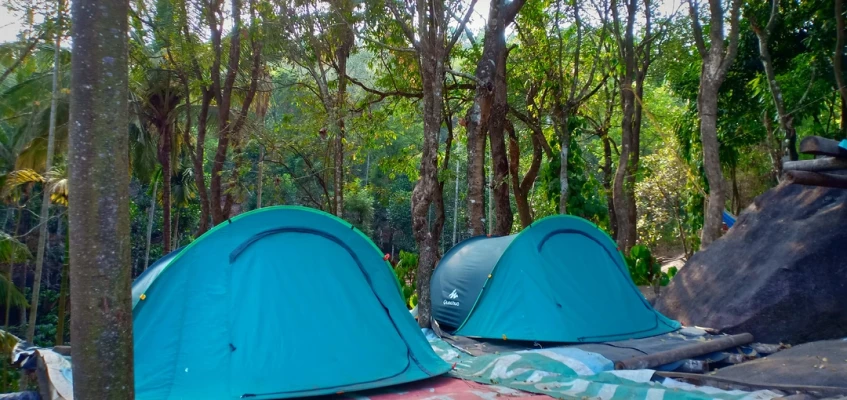 homestay in meenangadi, wayanad for group - evergreen homestay