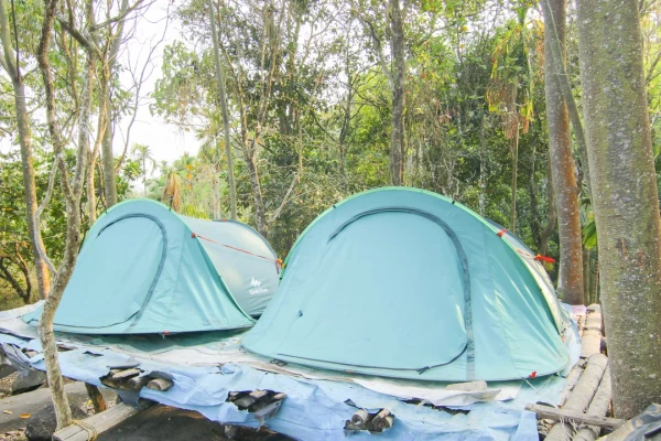 homestay in meenangadi, wayanad with kitchen - evergreen homestay