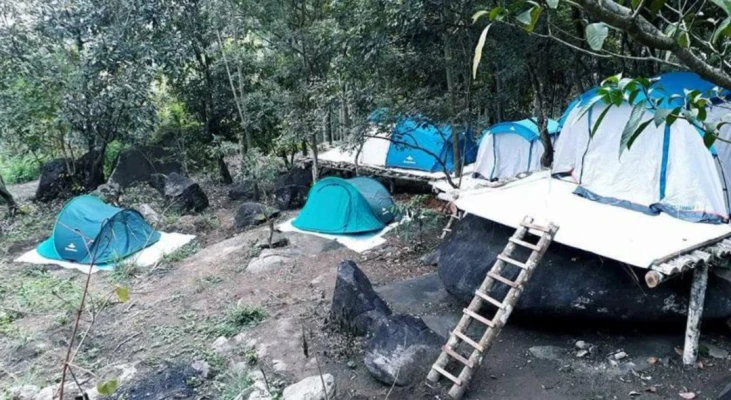 homestay in meenangadi, wayanad for couples - evergreen homestay